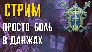 Просто боль в данжах // Neverwinter online Мод.17