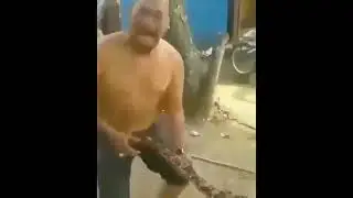 horny snake blow jobs