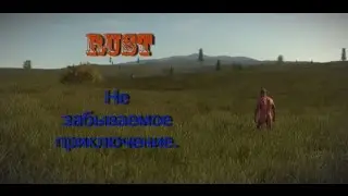 Приключения в Rust - КО МНЕ СЗАДИ ПРИСТРОИЛСЯ НЕГР!