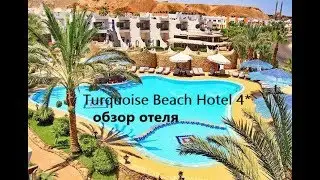 Turquoise Beach Hotel 4*-Египет-Шарм-Эль-Шейх-Обзор отеля