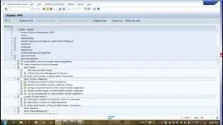 SAP Batch Management Config and Concept