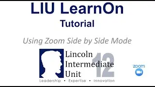 LearnOn Tutorial - Using Zoom Side by Side Mode