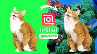 InShot монтаж | Хромакей в иншот