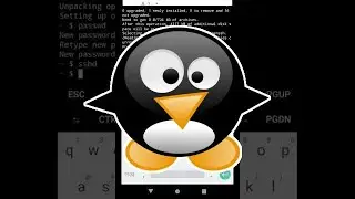 Running Scripts at Boot on an Android Phone 