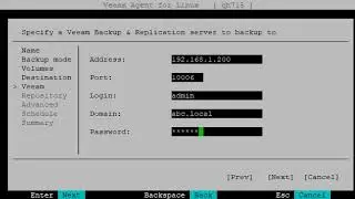 Setup Veeam Agent for Linux