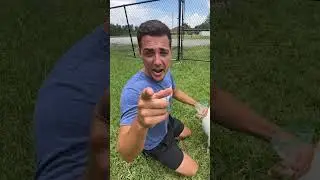 WHEN FEEDING THE GOATS GOES WRONG