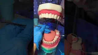 POV: You’re at your dentist appointment 🦷 