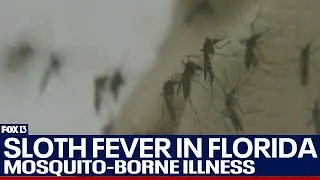 Concerns grow about new mosquito-borne illness