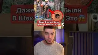 Этот Монстр Был Обнаружен В Дереве😱
