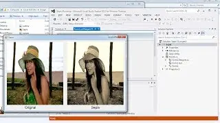 Visual Studio | Convert a color image into Sepia in C#