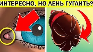 ИНТЕРЕСНЫЕ факты которые вам ЛЕНЬ ГУГЛИТЬ