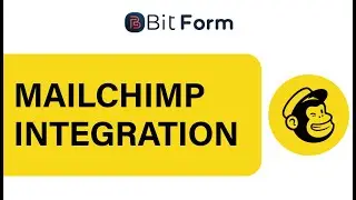 Mailchimp Integration With WordPress Form - Bit Form