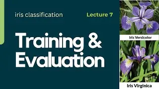 Lecture 7: Training and Evaluation Classification model  - iris classification