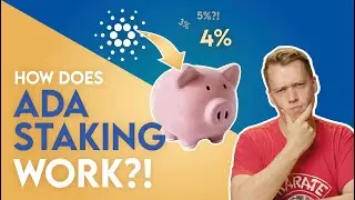 How Does ADA Staking Work?