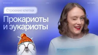 Строение клетки. Прокариоты и эукариоты | БИОпесочница | ЕГЭ-2025 по биологии