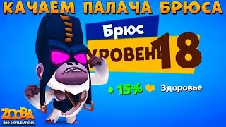 КАЧАЕМ ПАЛАЧА БРЮСА НА 18 УРОВЕНЬ В ИГРЕ ZOOBA