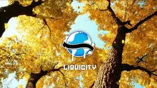 Umax - Translucent