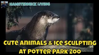 Hypnotic Ice sculptures and photos of lovably cute animals at Potter Park Zoo