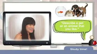 IELTS Speaking 7 plus Task 3 Extended Dialogue   Pets and Animals Student
