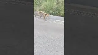 ტურა კუს ტბაზე