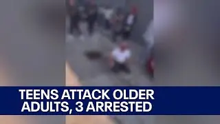 Attack near Milwaukee's Bradley Tech; adults injured, 3 teens arrested | FOX6 News Milwaukee