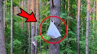 The guy heard screams in the forest, coming closer, his legs froze with fear...