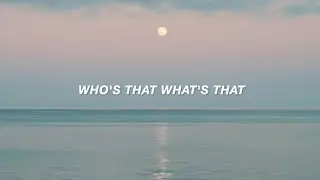 Who's That What's That (Lyric Video) - Niko B