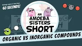Inorganic vs Organic Compounds- Amoeba Sisters 