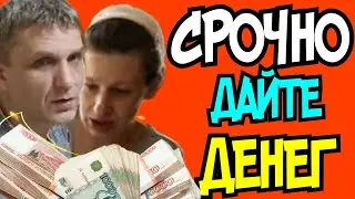 Колесниковы /Срочно дайте денег /Обзор Влогов /7-Я Колесниковых /Деревенский дневник /