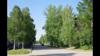 Летняя прогулка по улице Молодёжная и лесочку в городе Сосногорск