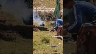 Великий труд Горцев ⛰️ Тляратинский район🌄