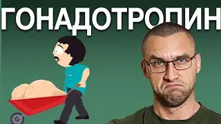 Гонадотропин На Курсе ААС (Дозировки, Либидо, Объем Яиц)