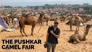 India's Wildest Festival in The Desert 🇮🇳