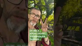 ОТ ВЕСА …КРОН СВОИХ …УХОДИШЬ НА РАЗРЫВ … 