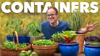 The Lazy Gardener's Guide to Starting a Container Garden