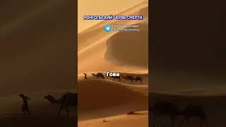 Монгольский червь смерти #шортс