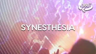 Hearing Color, Seeing Sound. This Is Synesthesia. (360 Video)