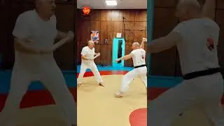 Центр боевых искусств 