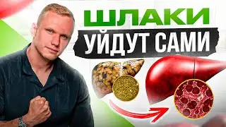 Как естественно вывести шлаки и токсины? Очищение организма в домашних условиях