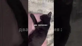 а в каком настроении сегодня ты?? 😴/🤪