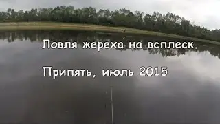 Ловля жереха на всплеск р. Припять 2015 Беларусь Fishing for asp on splash. GoPro