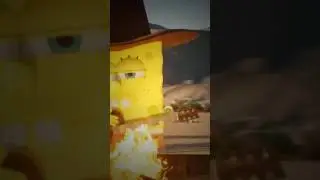 Spongebob went Country? 