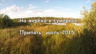 На жереха в сумерках.  Припять. Fishing for asp. GoPro
