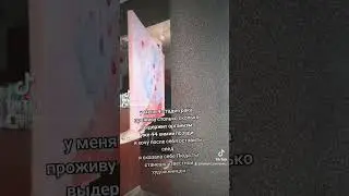 13 сентября 2024 г.