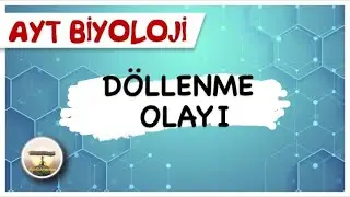 AYT Biyoloji | Döllenme Olayı #sayfa122