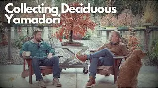 Collecting Deciduous Yamadori with Daniel Yobp -  Deciduous Bonsai Podcast Episode 6