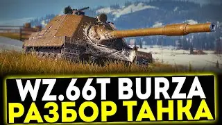 ✅ WZ.66T Burza - ОБЗОР ТАНКА! НОВАЯ ПРЕМ ПТ-САУ ПОЛЬШИ! МИР ТАНКОВ