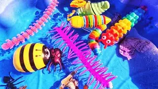 Learn Bug Insect Names for Babies Kids: Caterpillar Centipede Slug Scorpion Mosquito Millipede