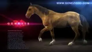 Animated CG Horse - GENEZIS 3D