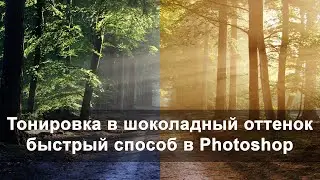 Тонирование в шоколадный оттенок, быстрый способ в Adobe Photoshop